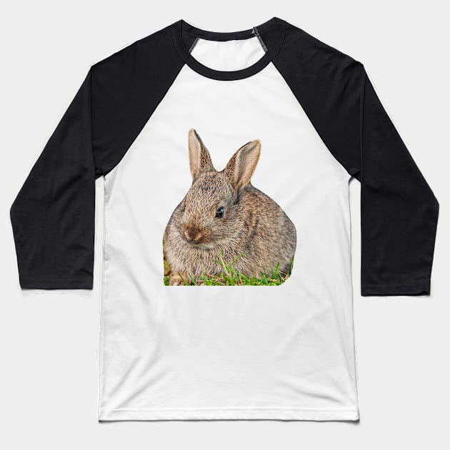 Cute Baby Wild Rabbit Baseball T-Shirt by dalyndigaital2@gmail.com